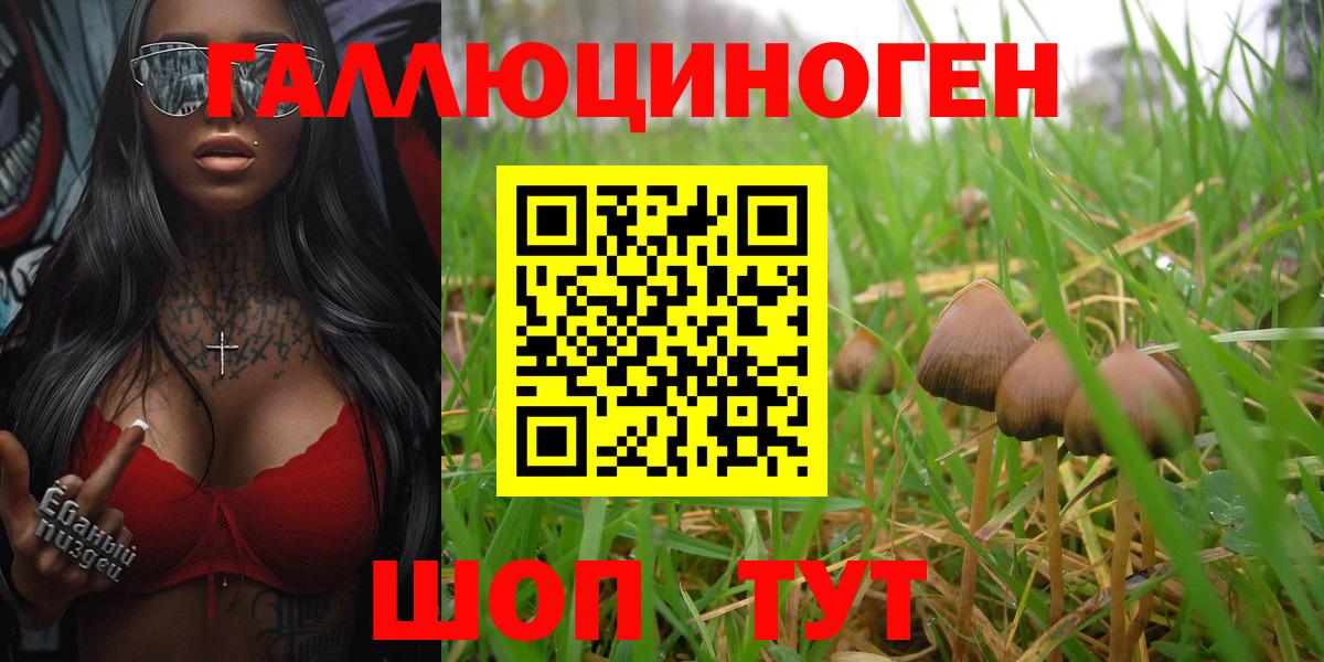 Псилоцибиновые грибы Magic Shrooms  Галлюциногенные грибы Psilocybine cubensis  продажа наркотиков  Махачкала  Вход с VPN 